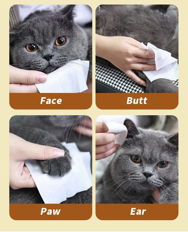 Plant-Based Deodorizing Pet Wipes for Sensitive Skin