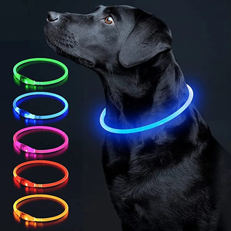 A black dog wearing a glowing LED collar with multiple color options, including green, blue, magenta, red, and yellow.