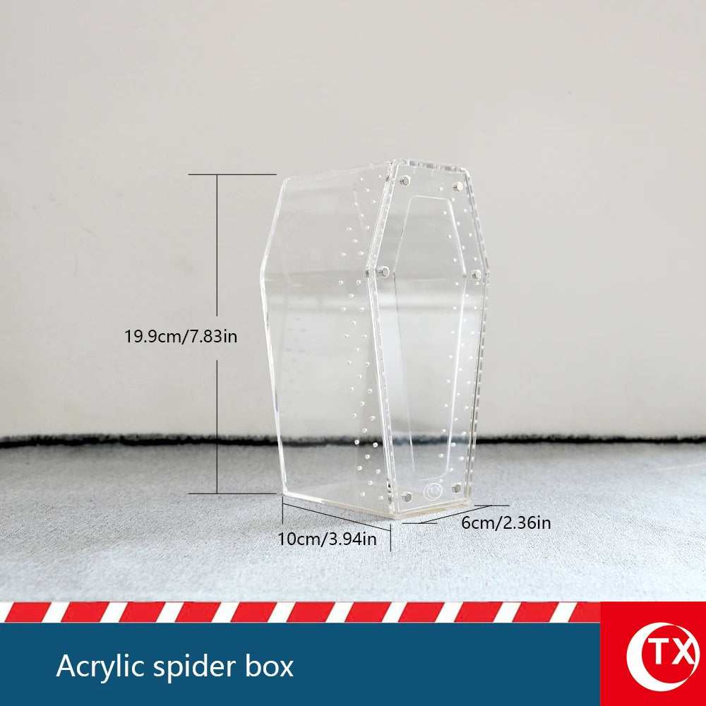 A clear acrylic spider box with a hexagonal shape and magnetic features shown on a gray surface.
