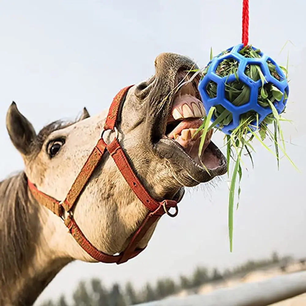 Ein Pferdekopf mit einer Heublockball, die aus seinem Maul hängt.