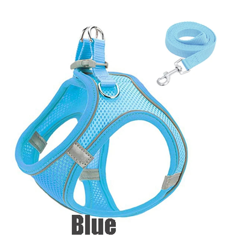 Blue reflective no-pull dog harness and matching leash