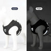 Reflektierendes Mesh-Hundegeschirr mit Leine