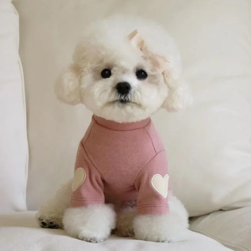Un perro blanco y esponjoso vistiendo una sudadera de oso rosa, sentado sobre una superficie blanca.