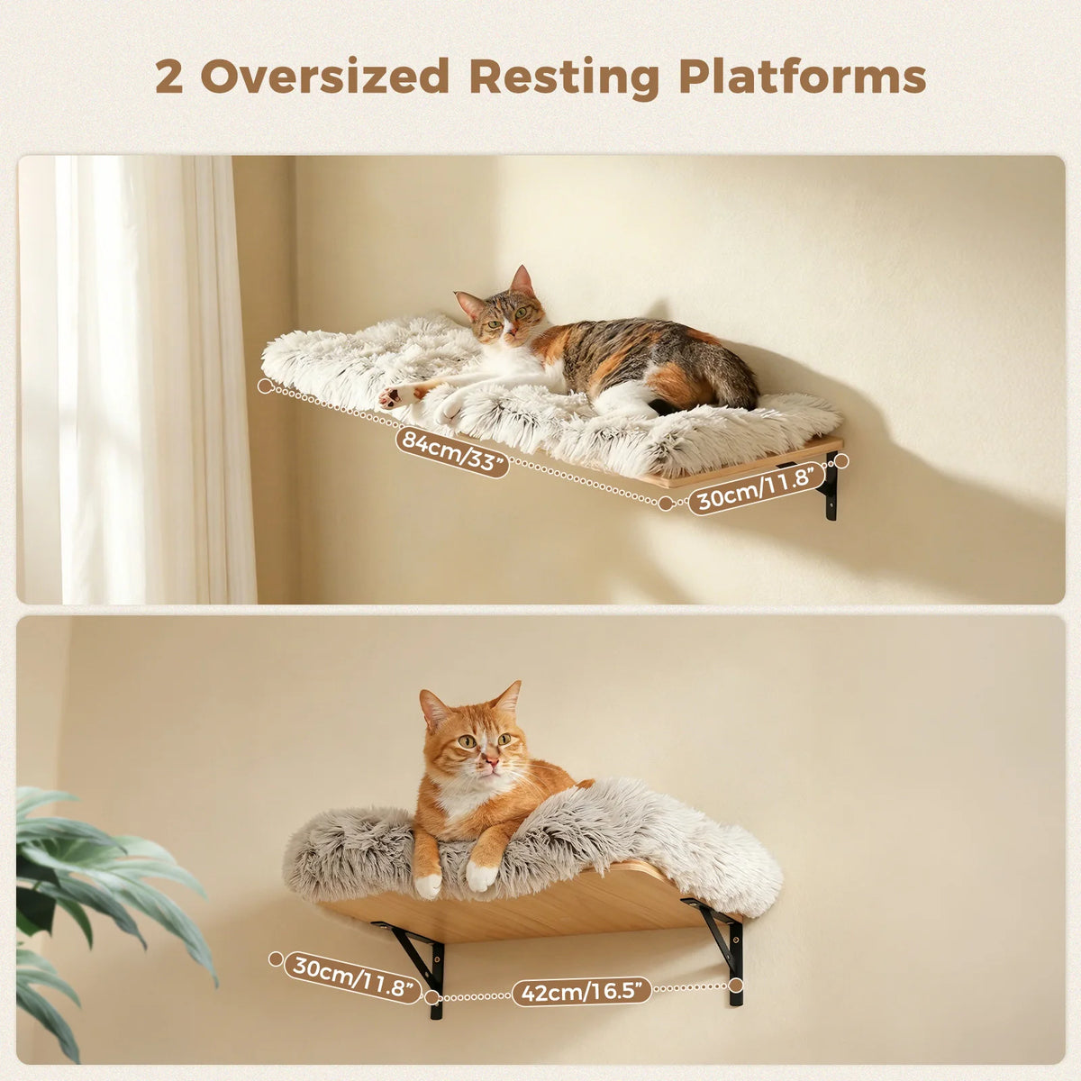 Modular Wall-Mounted Cat Climbing Shelves with Scratching Posts