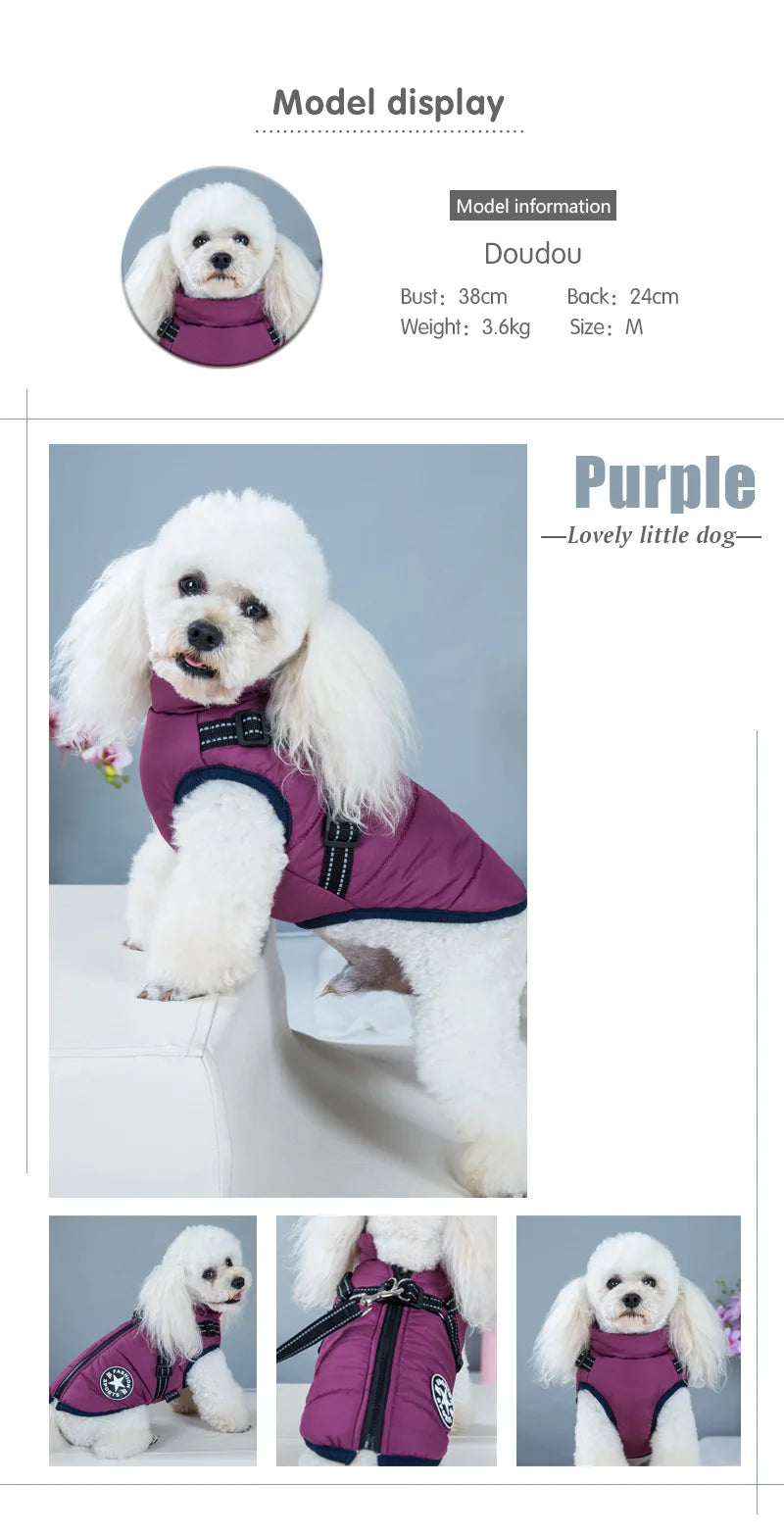 معطف كلب شتوي مع حزام مقاوم للماء وبطانة قطنية دافئة