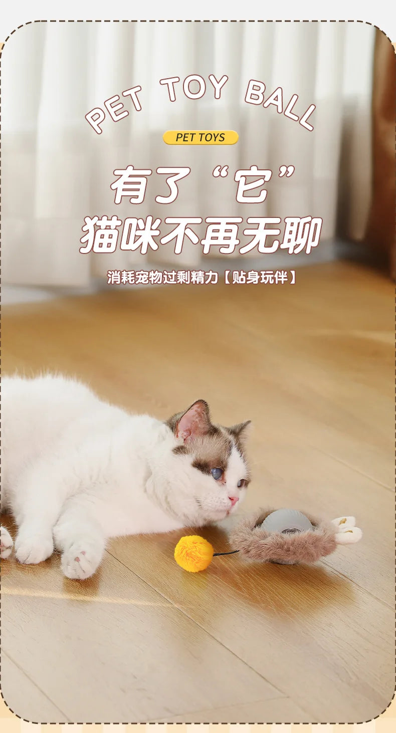 Interactive Automatic Rolling Cat Toy with Tail