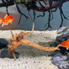 Natural Aquarium Driftwood Tree Stump Decor for Fish Tanks and Reptile Habitats