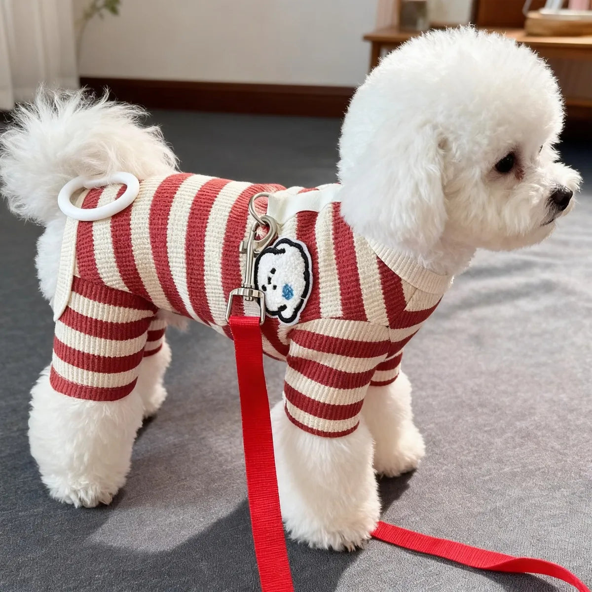 A white poodle wearing a red and white striped sweater with a black patch on its chest.