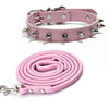 Studded PU Leather Dog Collar with Metal Accents