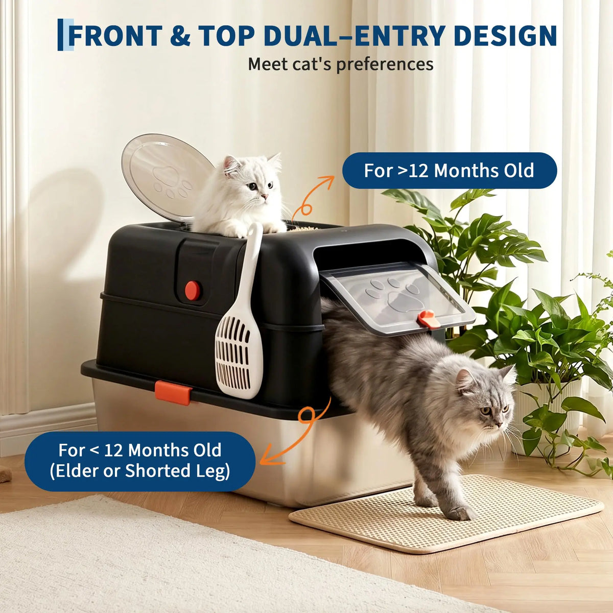 A black and silver dual-entry litter box for cats shown with a kitten and an adult cat, highlighting features for different a