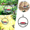 Metal Hanging Hummingbird Feeder with Glass Bottle