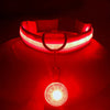 USB Charging Glowing Dog Collar with Pendant - Night Safety