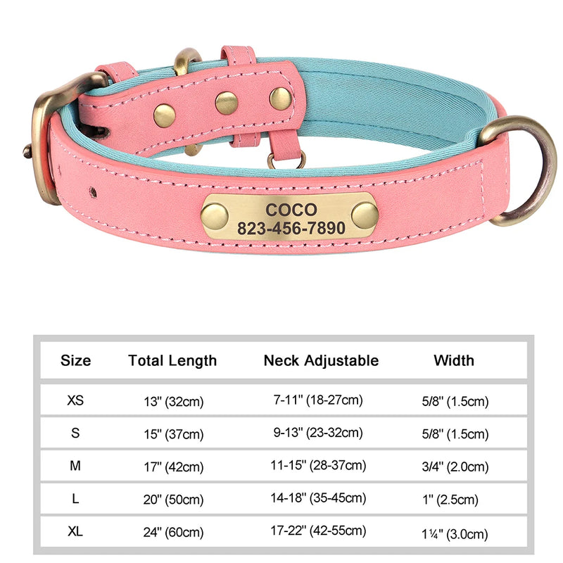Personalisiertes Leder-Hundehalsband mit graviertem ID-Tag