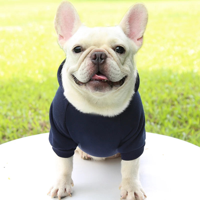 Suéter con Capucha Acogedor para Perros Pequeños