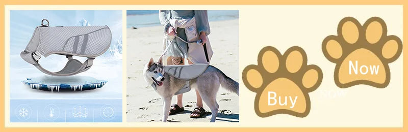 Cooling Dog Vest with Breathable Mesh