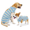 Breathable Dog Recovery Suit for Post-Surgery Protection