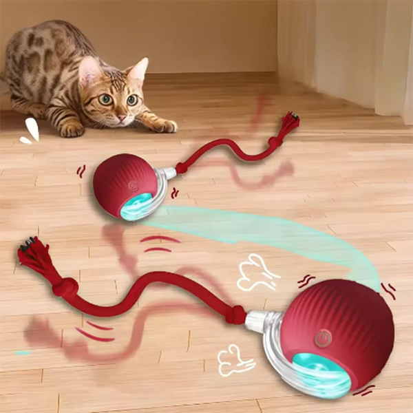 Balle de Jeu Interactive pour Chat à Recharge Automatique