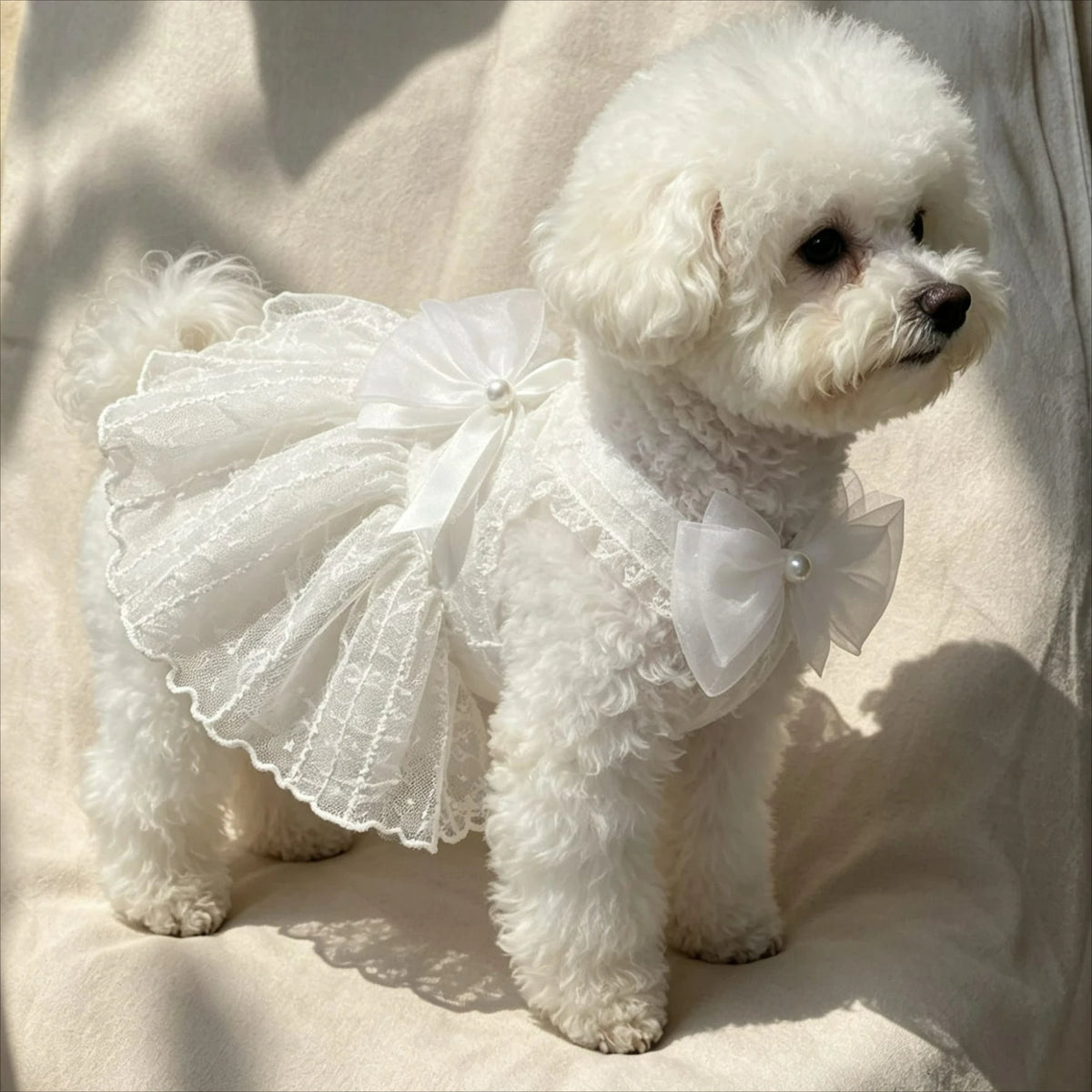 Adorable Princess Dress for Small Dogs and Cats