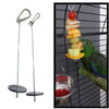 Stainless Steel Parrot Fruit Skewer