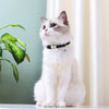 Reflektierendes Nylon-Hundehalsband mit Glocke und Namensschild
