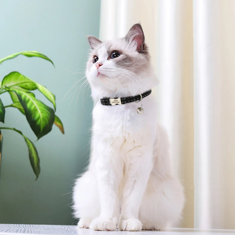 Reflektierendes Nylon-Hundehalsband mit Glocke und Namensschild