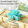 Blue artificial succulent plant with a 10cm diameter, displayed in a wooden box on a bed of sand.