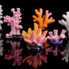 Artificial Coral Reef Aquarium Decoration with Starfish