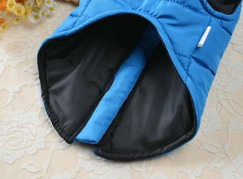 Windproof Padded Dog Coat for Small Breeds