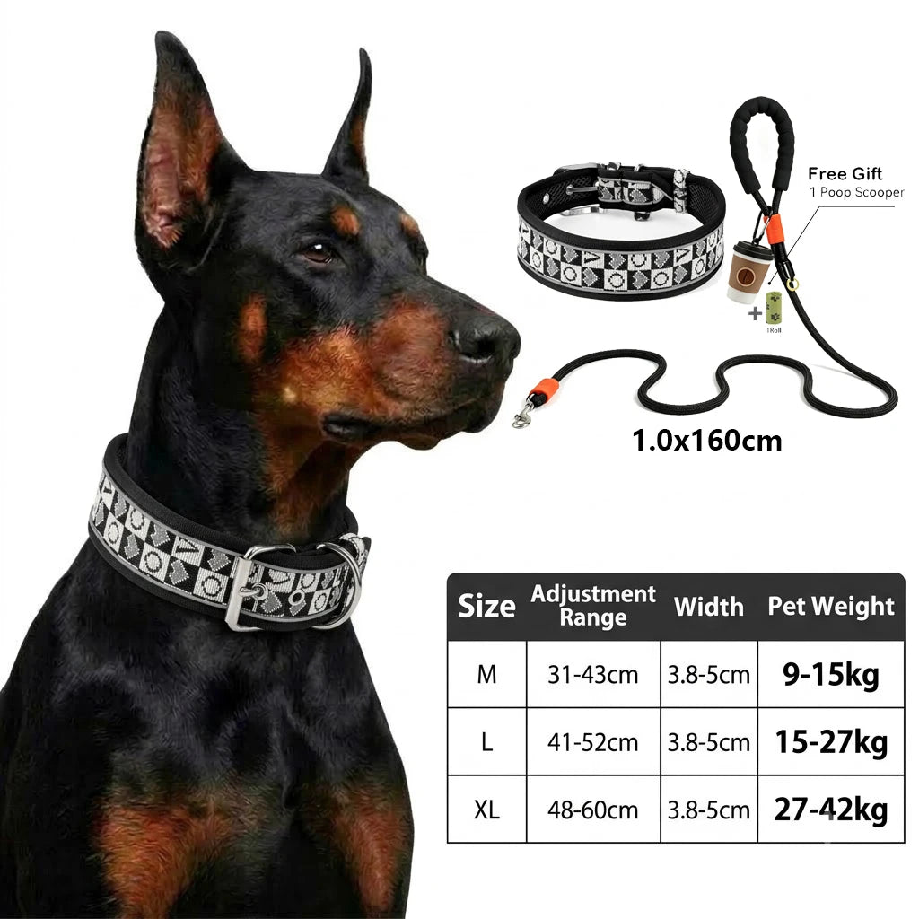 Black dog harness with silver and reflective trim shown next to size chart and accessories
