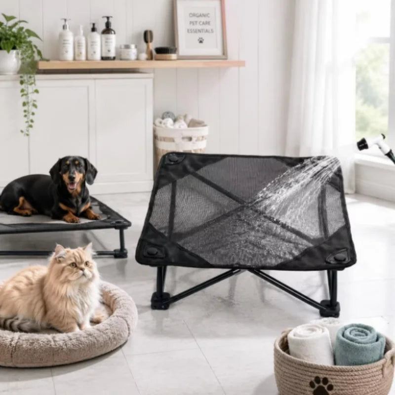 A black foldable elevated pet cot with a breathable mesh is shown in a bright room next to a cat and a dog.