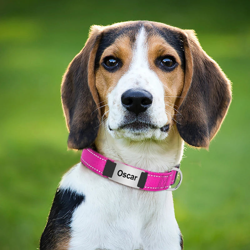Reflektierendes personalisiertes Hundehalsband mit graviertem Anhänger