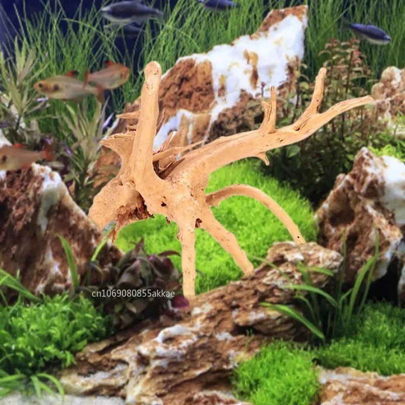 Natural driftwood branch with intricate roots used for aquarium and terrarium decoration