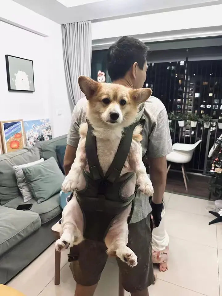 Mochila Portaperros de Pecho