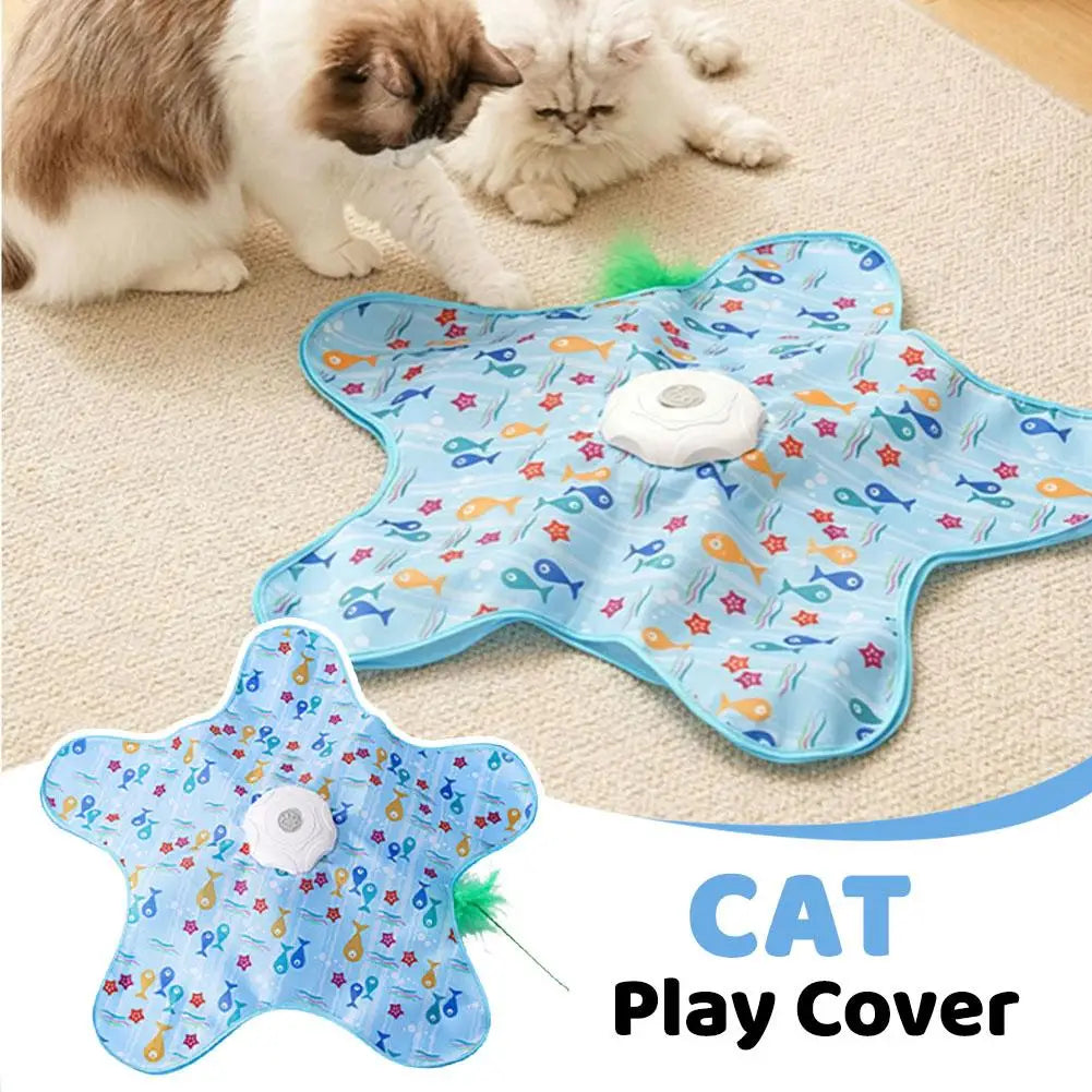 Interactive Hide-and-Seek Cat Toy with Feather Teaser