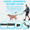 Shock absorbing bungee leash with double bungee and reflective stitching for dog walking