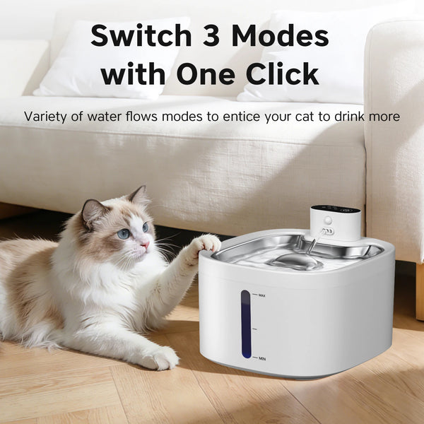 A fluffy cat is looking at a white wireless cat water fountain with a stainless steel tray on a wooden floor.