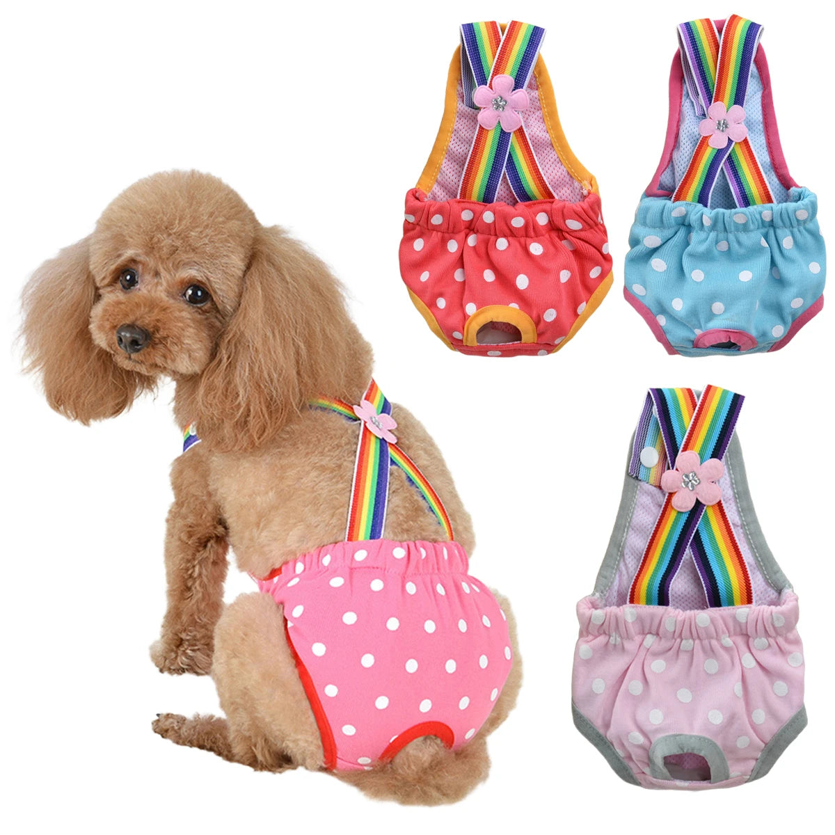 A golden doodle dog wearing colorful, striped physiological underwear.