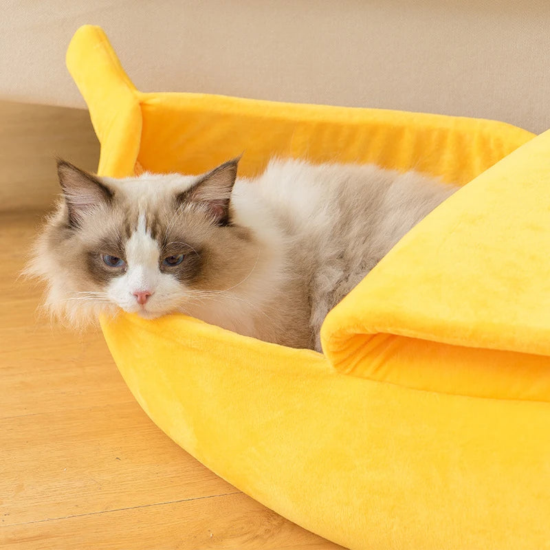 Un chat tigré moelleux se repose dans un lit pour animaux jaune vif en forme de banane.