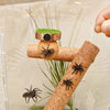 Magnetic Spider Hide Cave for Jumping Spider Enclosures