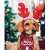 Christmas Triangle Dog Bandana Scarf with Adjustable Fit