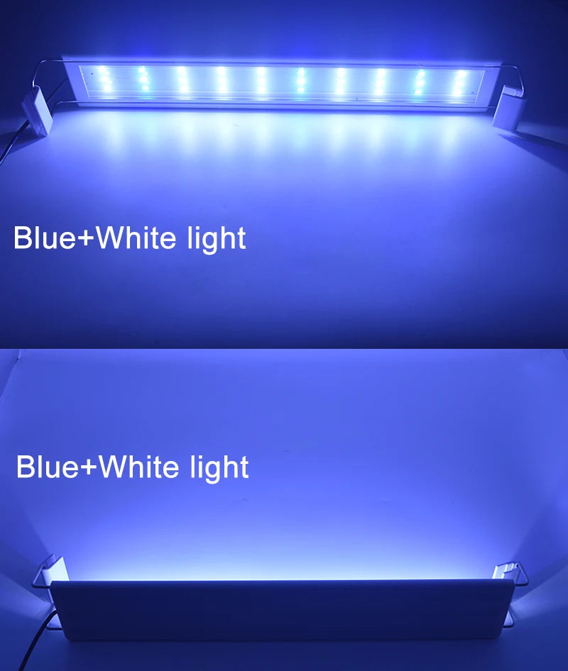 Lampe LED à clipser pour aquarium : poissons et plantes