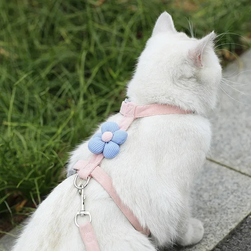 Weiße Katze mit rosa Netzgeschirr und Leine auf grauer Oberfläche.