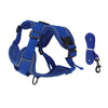 Blue reflective dog harness and leash set for small to medium dogs