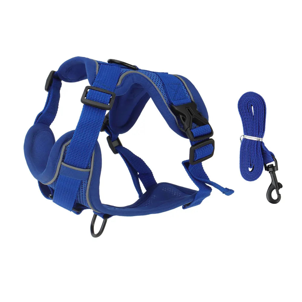 Blue reflective dog harness and leash set for small to medium dogs
