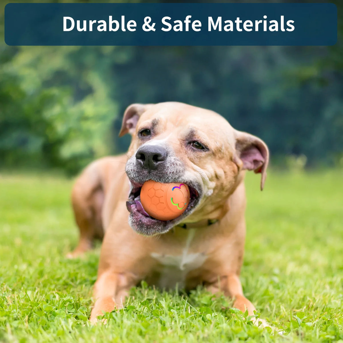 Ein glücklicher hellbrauner Hund liegt auf grünem Gras mit einem orangen Ball im Maul.
