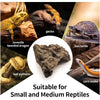 Natural Resin Rock Cave Hideout for Reptiles
