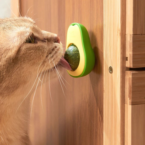 A tabby cat licking a green wall-mounted catnip ball toy attached to a wooden panel.