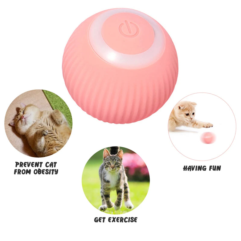 Pelota Interactiva Inteligente para Gatos