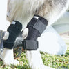 Dog Knee Support Brace for Arthritis and Joint Recovery