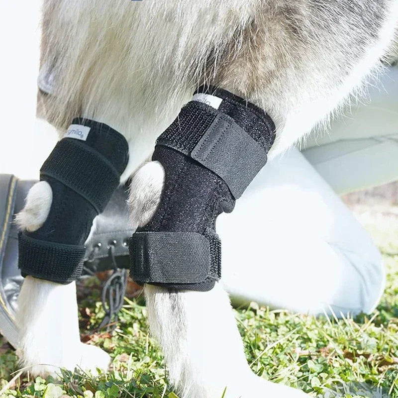Dog Knee Support Brace for Arthritis and Joint Recovery